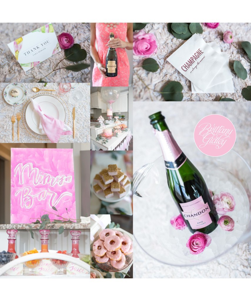 Mommy & Me Session | Ladies Who Brunch | Styled by One Stylish Party | Inspiration | Start With The Best | Brittany Gidley Photography LLC