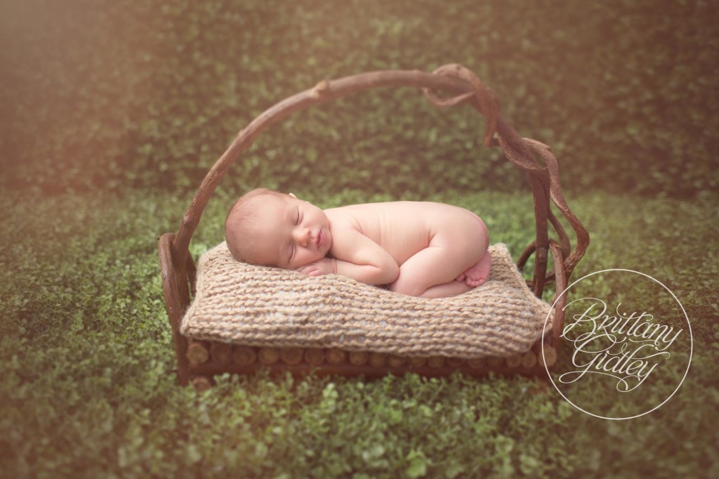 Newborn Dream Session | Newborn Photographer | Cleveland, Ohio | Heatherlily Florals