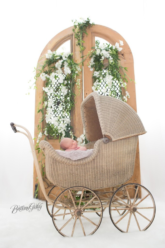 Newborn Dream Session | Newborn Photographer | Cleveland, Ohio | Heatherlily Florals
