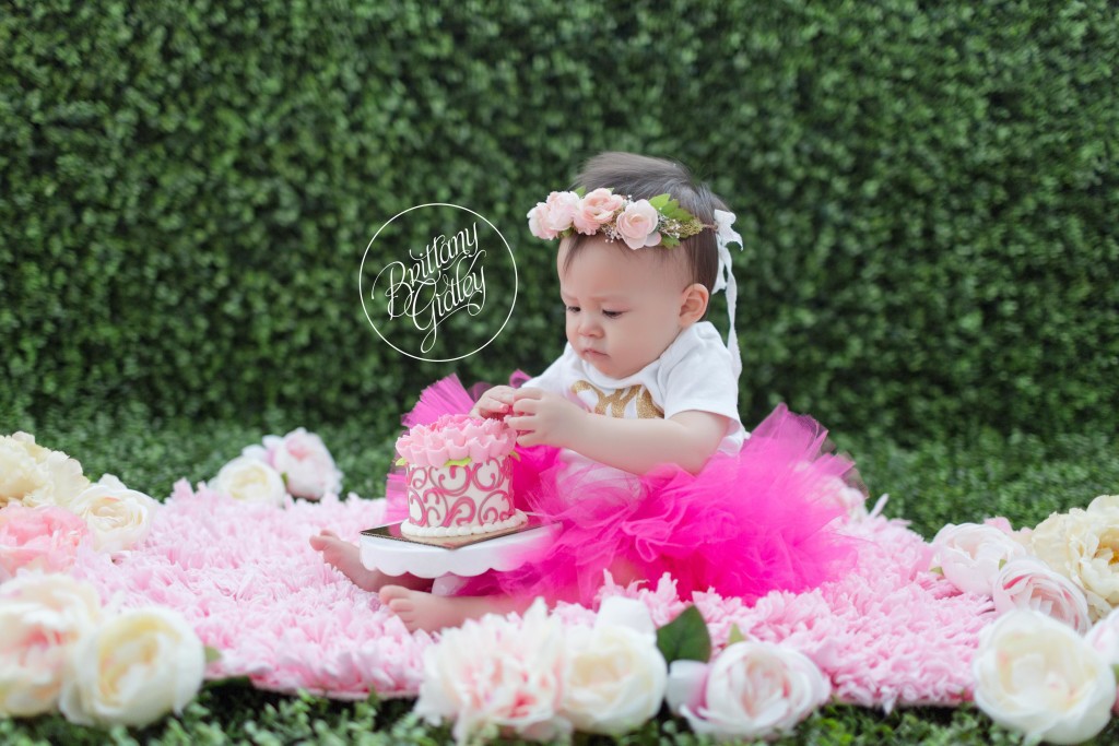 Cake Smash | Baby Photographer | Cleveland, Ohio | Start With The Best | Brittany Gidley Photography LLC