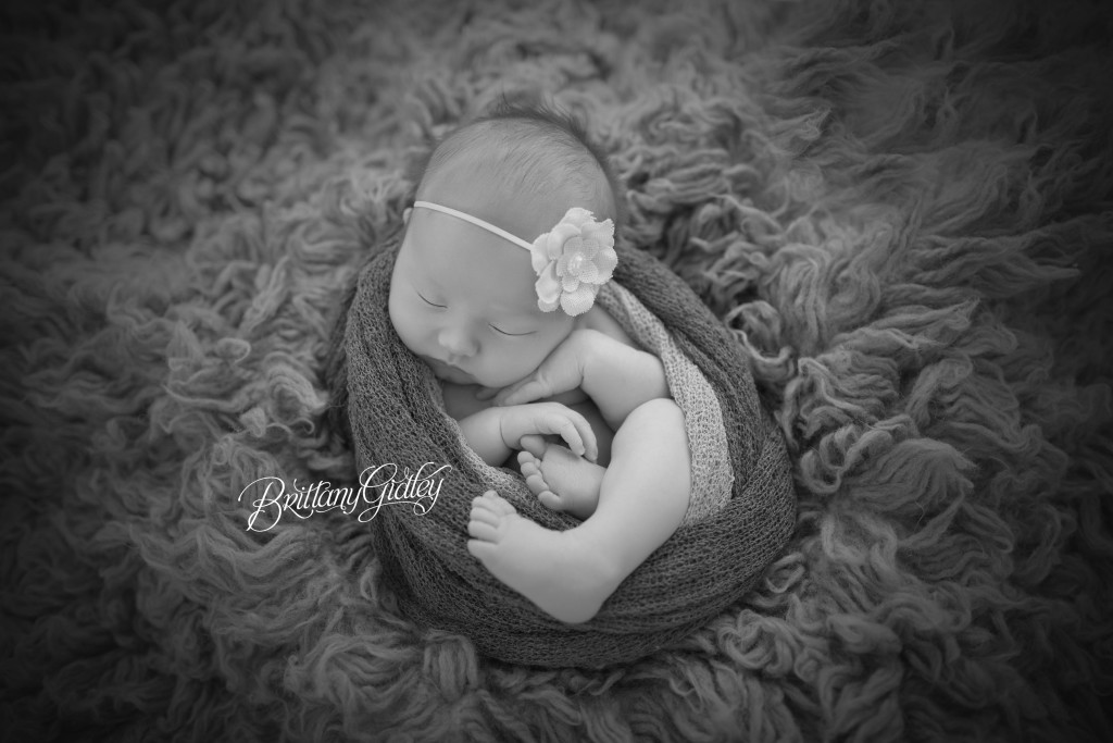 Newborn Photo | Newborn Photography Studio | Cleveland Ohio | Cleveland Newborn Photographer