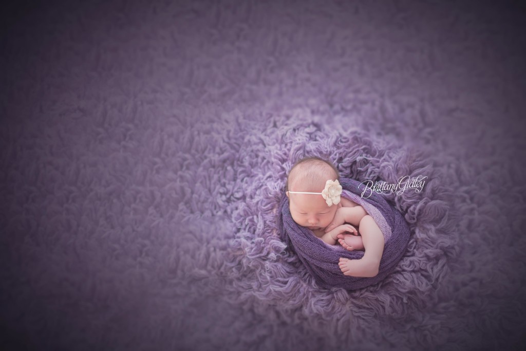 Newborn Photos | Newborn Photography Studio | Cleveland Ohio | Cleveland Newborn Photographer