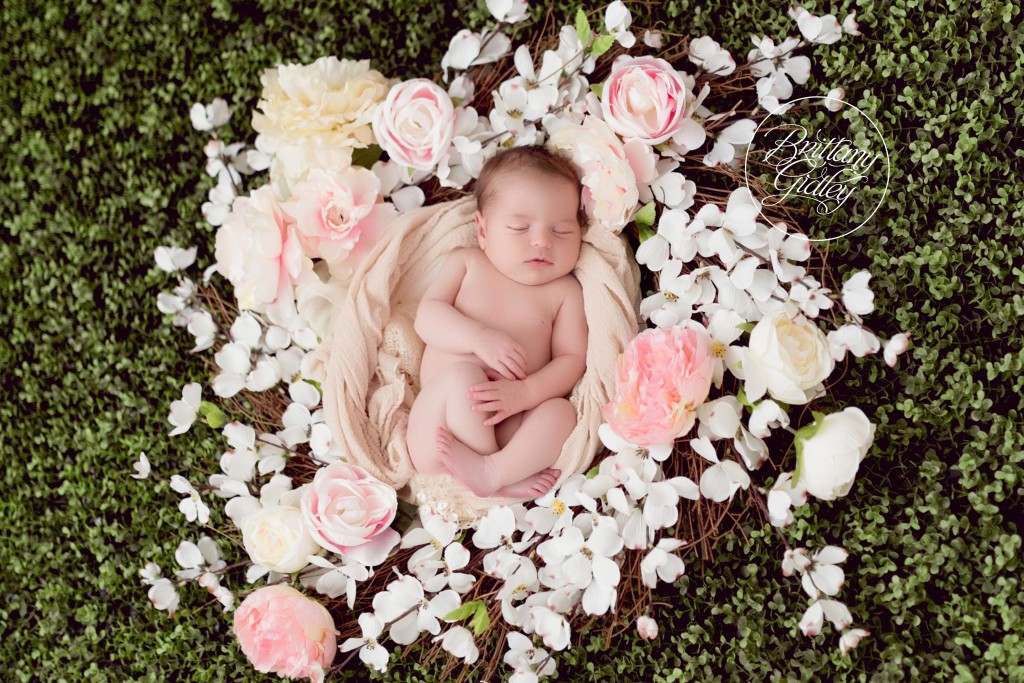 Fresh Floral | Newborn Baby Girl | Baby Photographer | Baby Photography | Cleveland Ohio | Newborn Photography Studio | Studio | Baby | Family | It's A Girl | Start With The Best