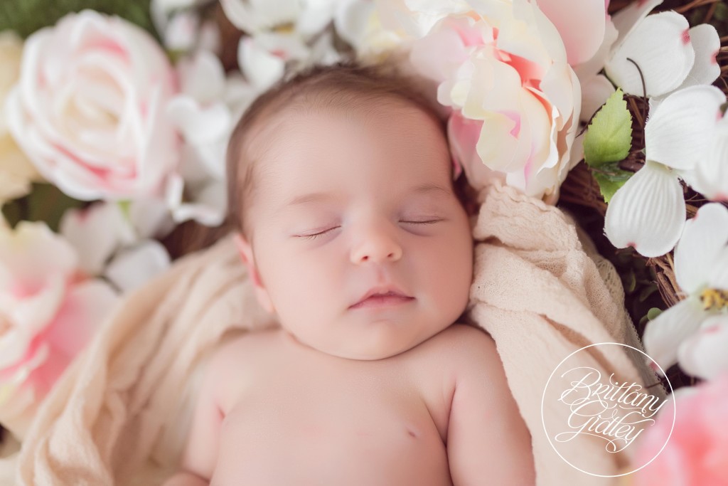 Fresh Floral | Newborn Baby Girl | Baby Photographer | Baby Photography | Cleveland Ohio | Newborn Photography Studio | Studio | Baby | Family | It's A Girl | Start With The Best