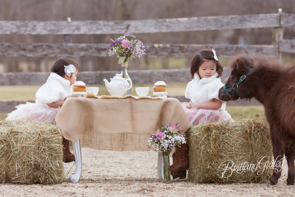 Whimsical Child Photographer | Sisters | Rainey's Closet | Tea Party | Ponies | Pony Farm | Tutu Du Monde | Start With The Best | Cleveland Ohio | Farm | Equine | Horse Photo Shoot | Dream Session www.brittanygidleyphotography.com
