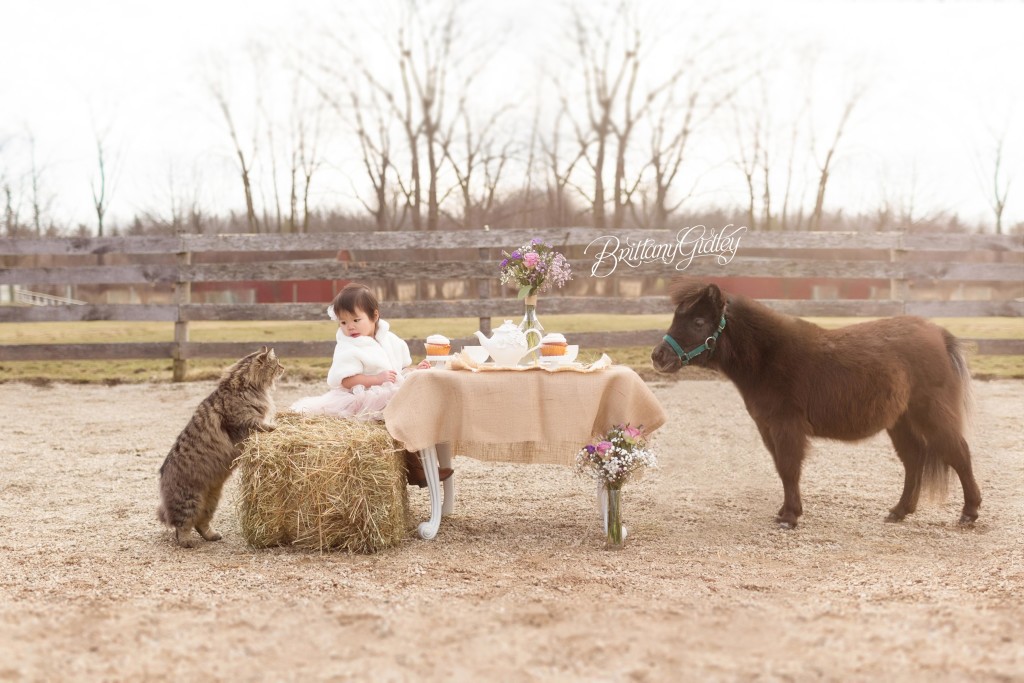 Whimsical Child Photographer | Sisters | Rainey's Closet | Tea Party | Ponies | Pony Farm | Tutu Du Monde | Start With The Best | Cleveland Ohio | Farm | Equine | Horse Photo Shoot | Dream Session www.brittanygidleyphotography.com
