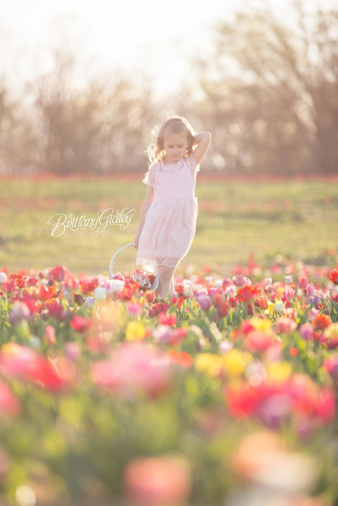 Tulip Field | Details | Children | Photo Shoot | Photography | Fun