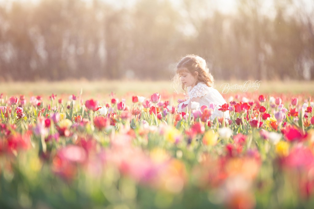 Tulip Field | Details | Children | Photo Shoot | Photography | Fun