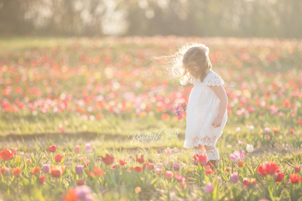 Tulip Field | Children | Golden Hour | Photo Shoot | Sunset | Canon