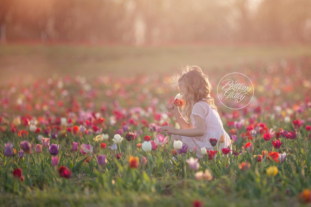 Tulip Field | Children | Golden Hour | Photo Shoot | Sunset | Canon