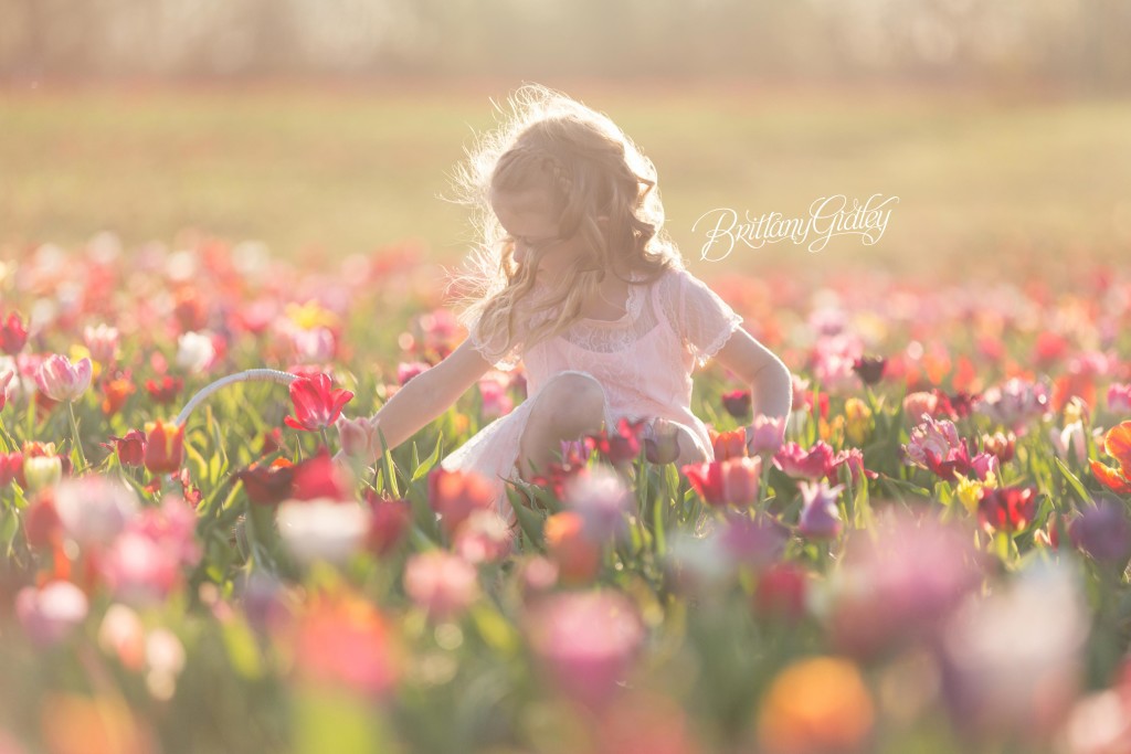 Tulip Field | Details | Children | Photo Shoot | Photography | Fun