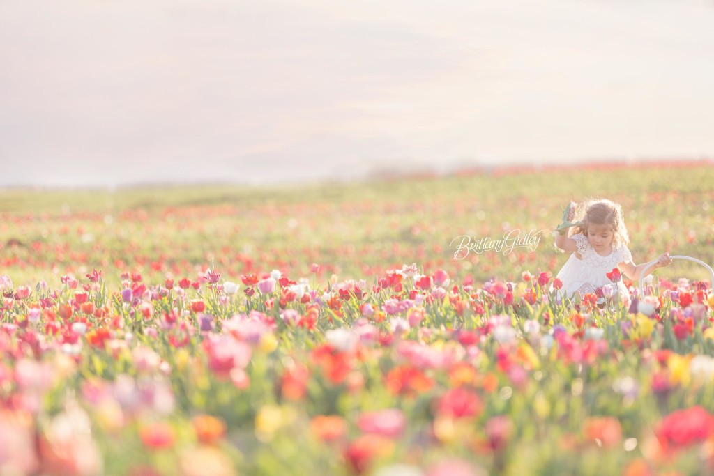 Burnside Farms Virginia | Tulip Field Photo Shoot | Child Photographer | Child Photography | Styled Shoot