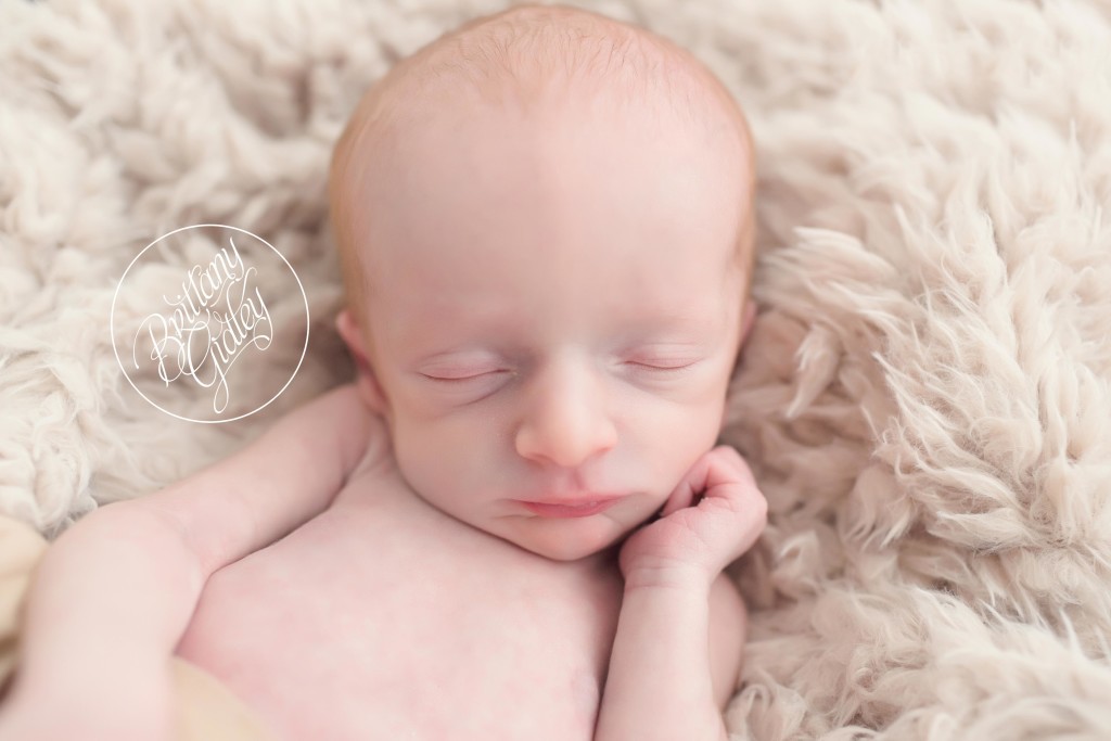 Cleveland Newborn Photographer | Brittany Gidley Photography | Cleveland Ohio Newborn Photographer | Family Photography