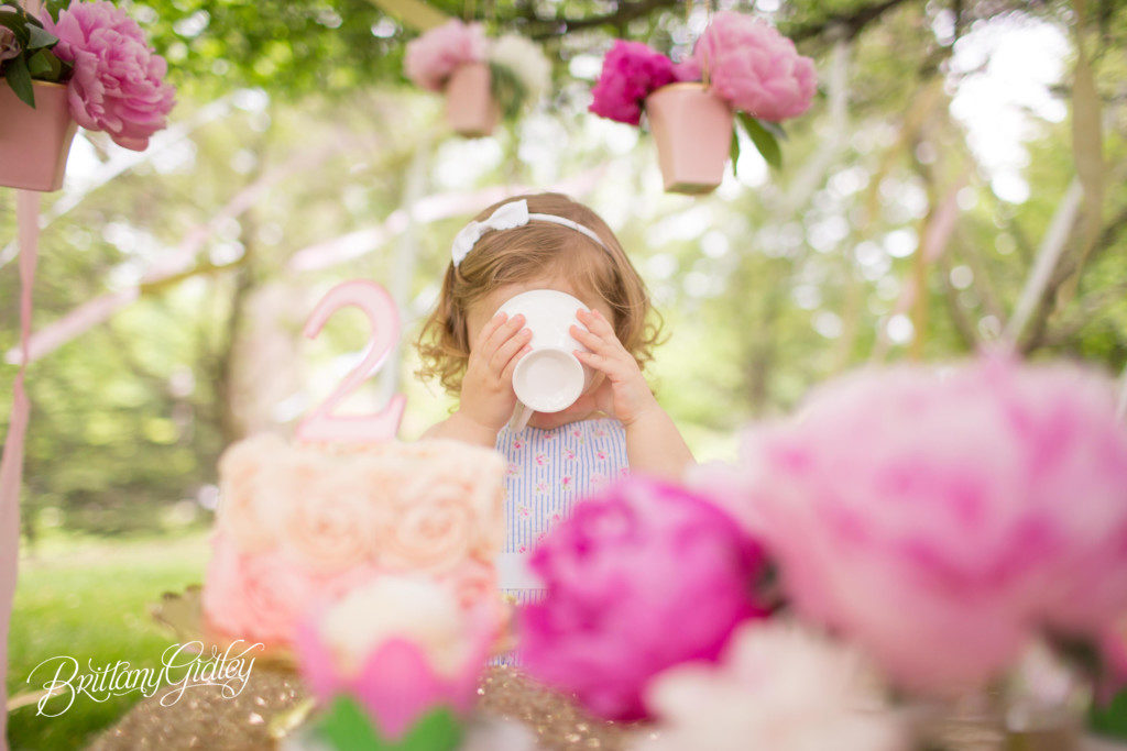Tea Party Birthday Inspiration | Dream Session | One Stylish Party | Kelsey Elizabeth Cakes | Brittany Gidley www.brittanygidleyphotography.com | Available for Travel Worldwide