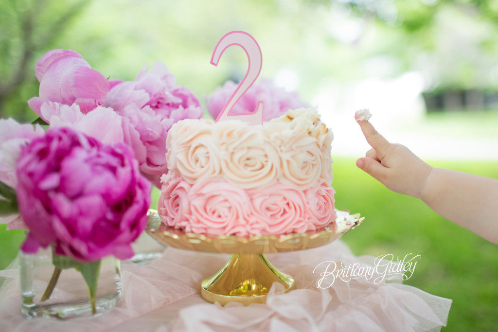 Tea Party Inspiration | Dream Session | One Stylish Party | Kelsey Elizabeth Cakes | Brittany Gidley www.brittanygidleyphotography.com | Available for Travel Worldwide