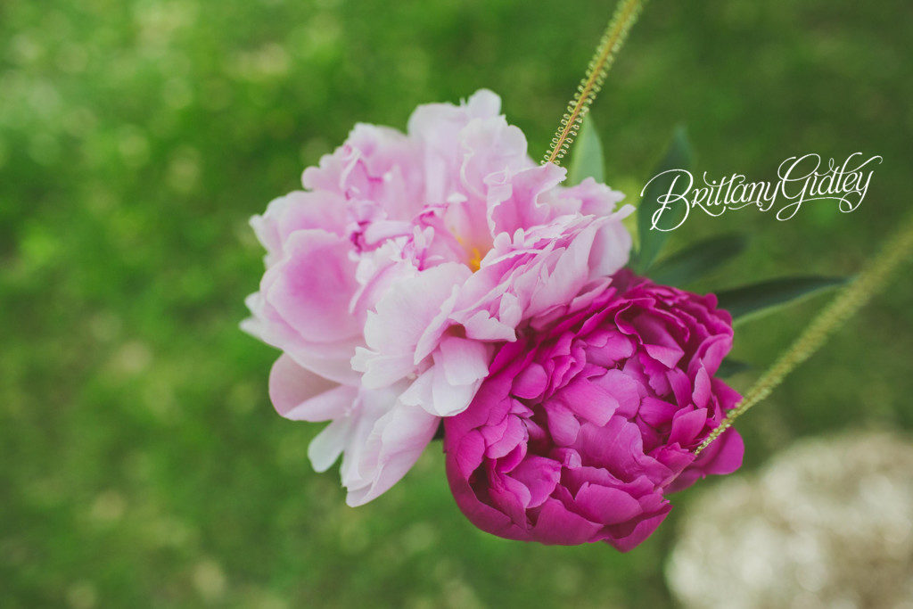 Hanging Flowers