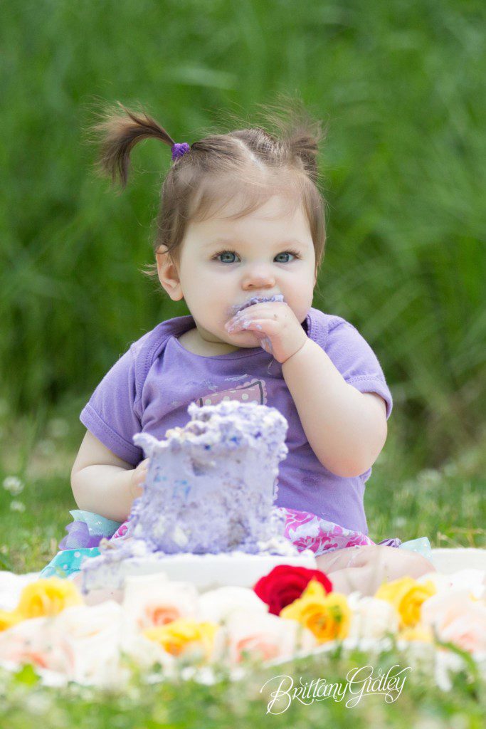 Cake Smash | New York City Baby Photographer | Puppy Love