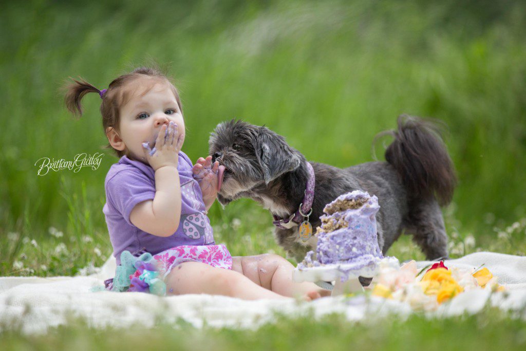 Cake Smash | New York City Baby Photographer | Puppy Love