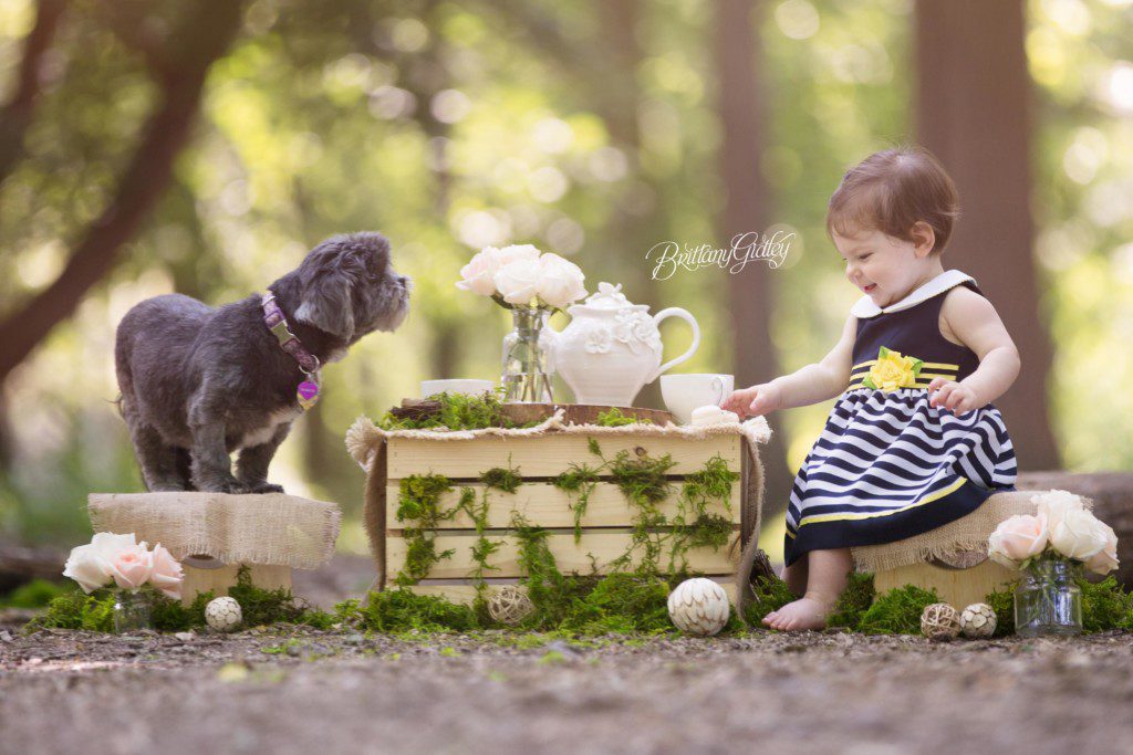 Woodland Friends Tea Party Dream Session | New York City Baby Photographer | Available for Worldwide Travel | www.brittanygidleyphotography.com | Brittany Gidley Photography | Start With The Best