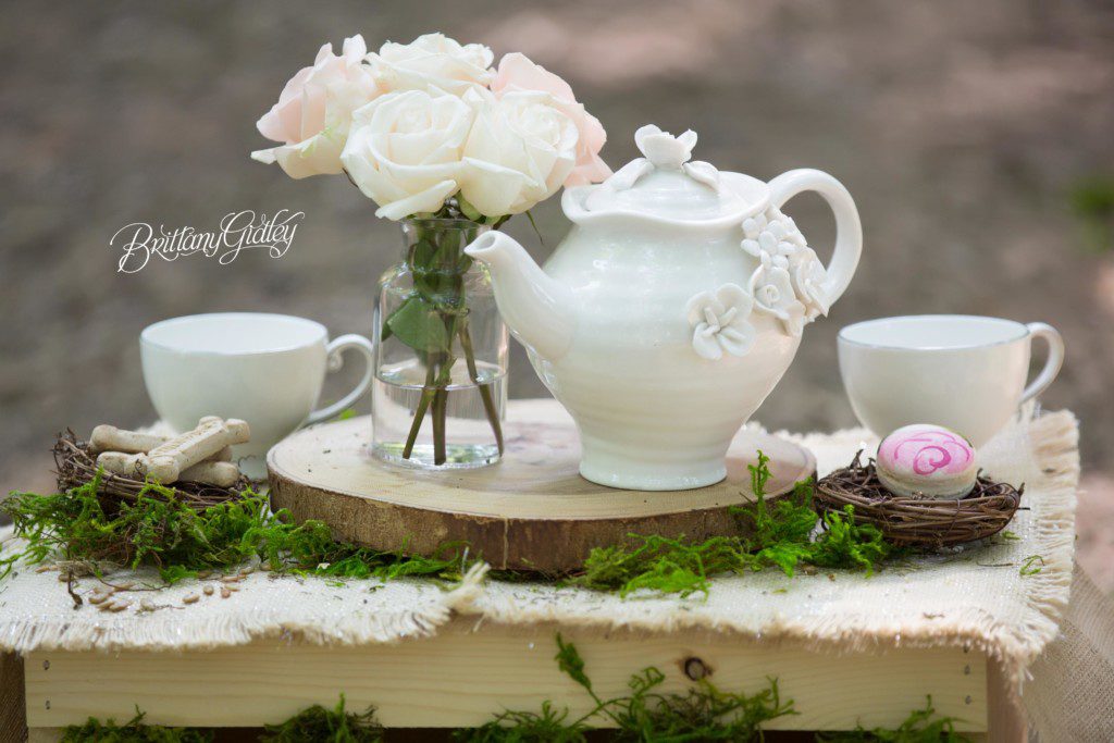 Woodland Friends Tea Party Dream Session | New York City Baby Photographer | Available for Worldwide Travel | www.brittanygidleyphotography.com | Brittany Gidley Photography | Start With The Best