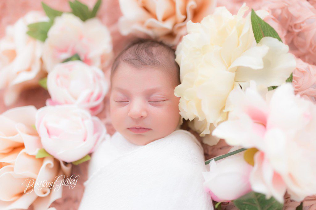 Newborn Session | Photo Shoot | Cleveland Ohio | Brittany Gidley Photography LLC