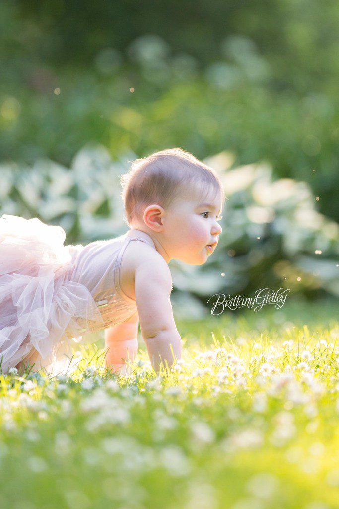 Cake Smash | 12 Month Baby | Dream Session | Start With The Best | Cleveland Ohio | Baby Photographer | Baby Photography | Best Baby Photographer