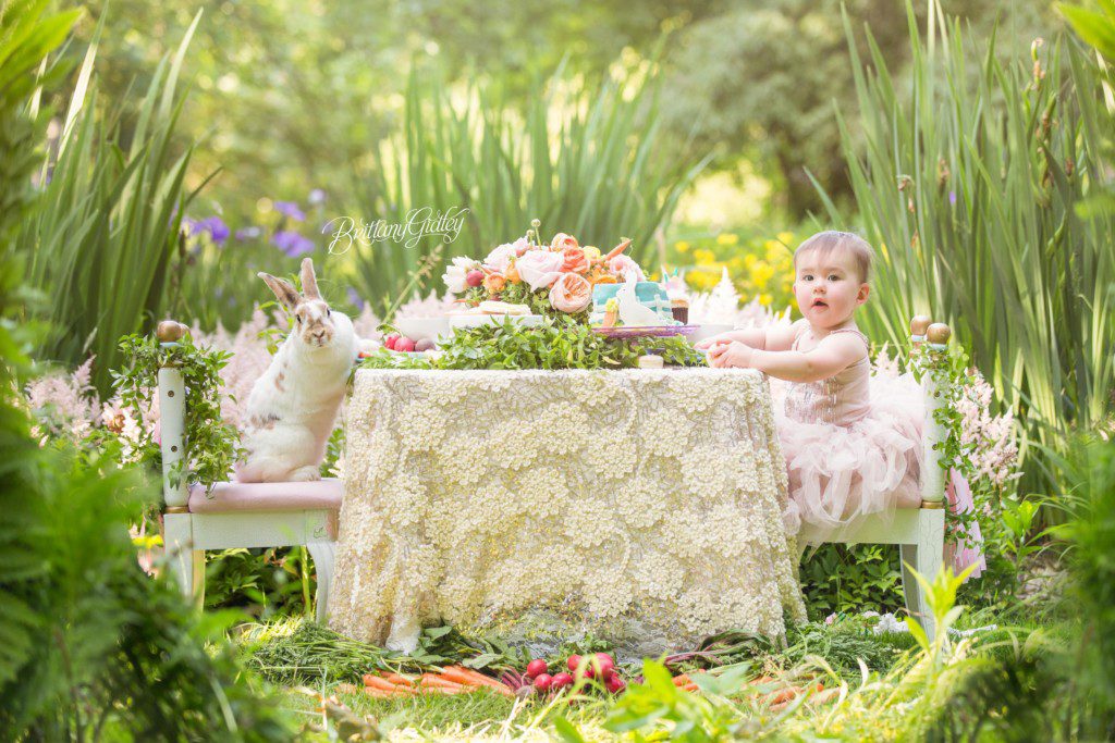 Some Bunny is Turning One | Dream Session | Start With The Best | Cleveland Ohio | Baby Photographer | Baby Photography | Best Baby Photographer