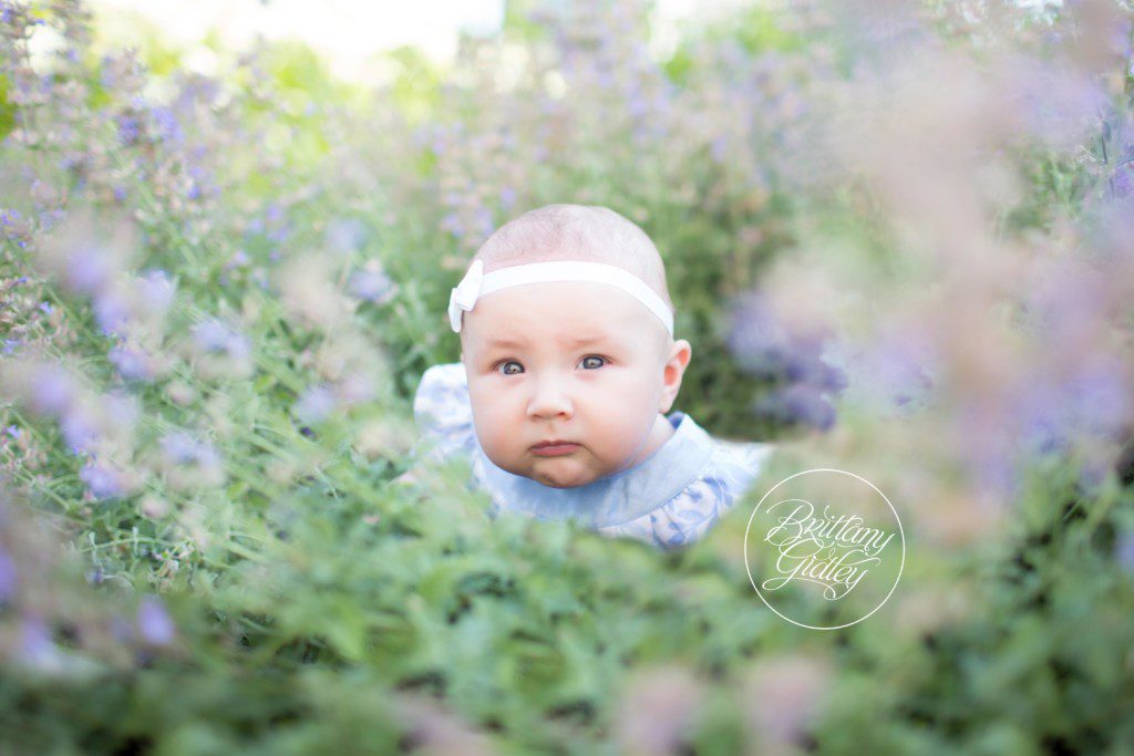 3 Month Baby | Family | Downtown Cleveland
