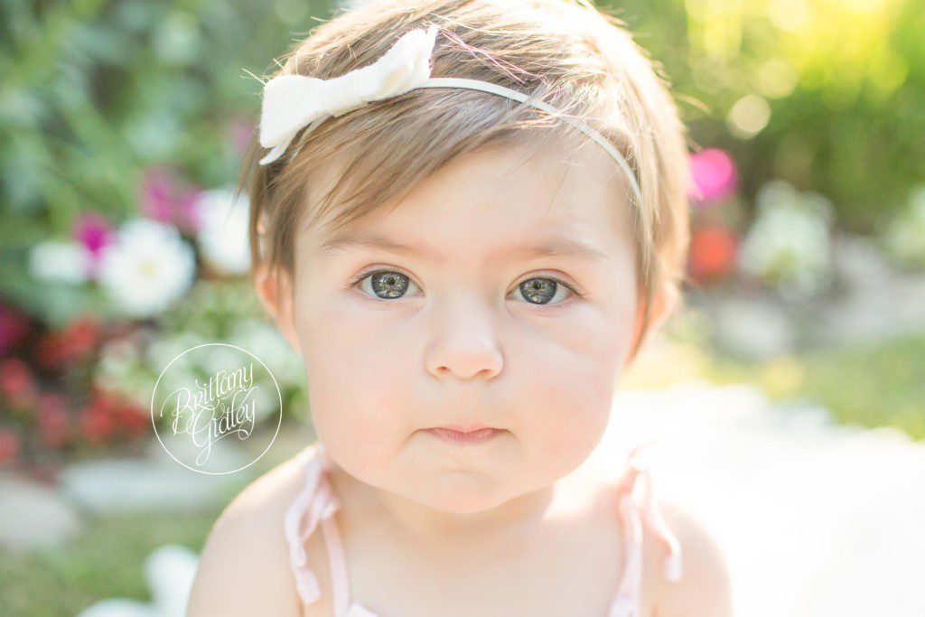 Family Photographer | Clifton Club Lakewood Ohio | Baby Photographer | Baby Photography | Sunset Photography Session