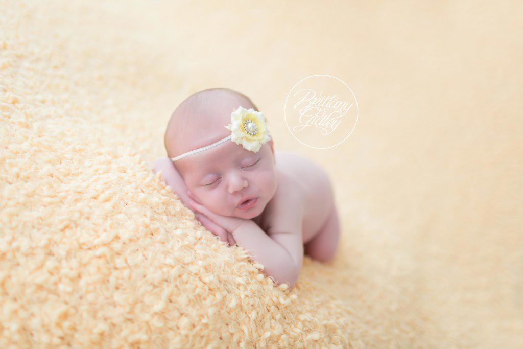 Cleveland Newborn Photographer | Siblings | Newborn Baby Girl | Cleveland Ohio