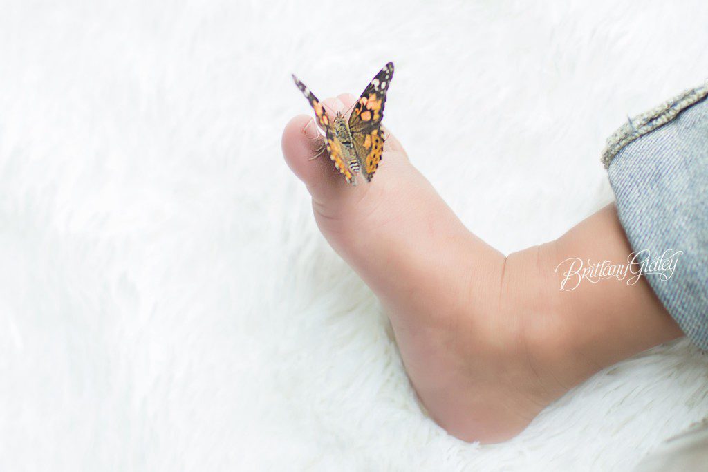 Butterfly Release | Enchanted Forest | Dream Session | Cindarella Photo Shoot | Disney Inspired Squires Castle | Magical Photography | Castle | Cleveland Ohio | www.brittanygidleyphotography.com | Brittany Gidley Photography LLC