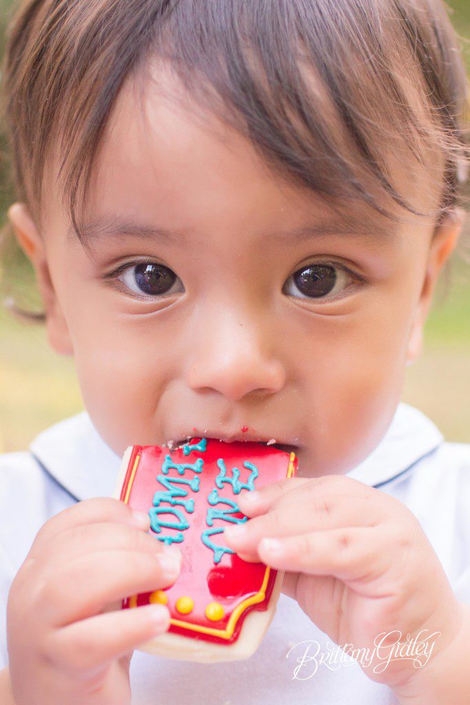 Circus | Circus Dream Session | Circus Theme Photo Shoot | Circus Cookies | Baby Photographer | Baby Photography | Brittany Gidley Photography LLC