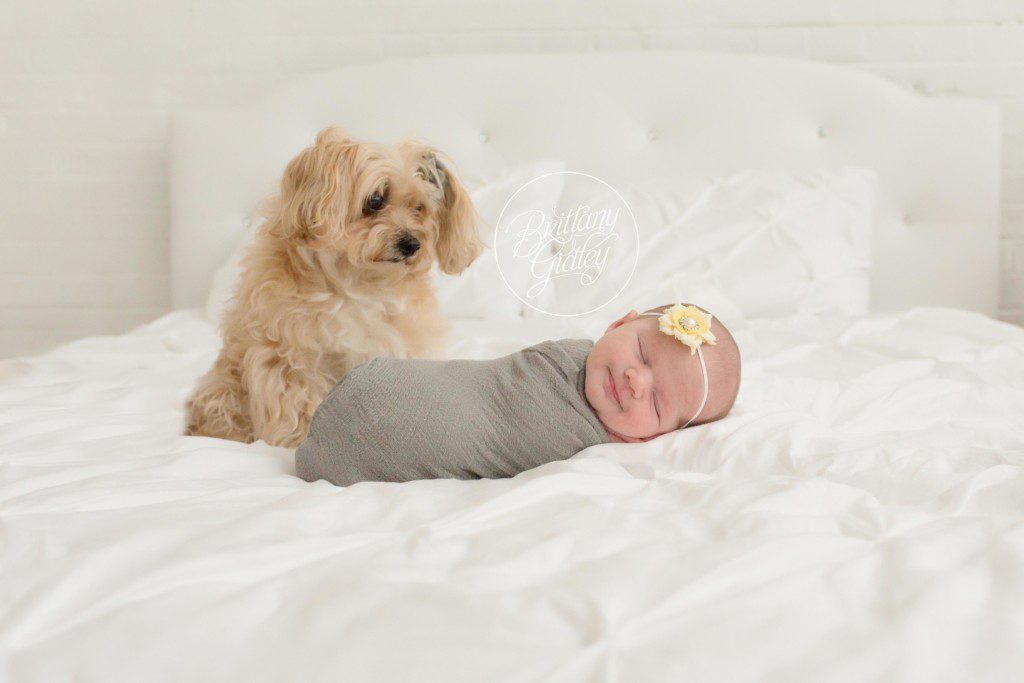 Newborn Baby Girl | Newborn Baby | Baby Girl | Start With The Best | Cleveland Ohio Newborn Photographer