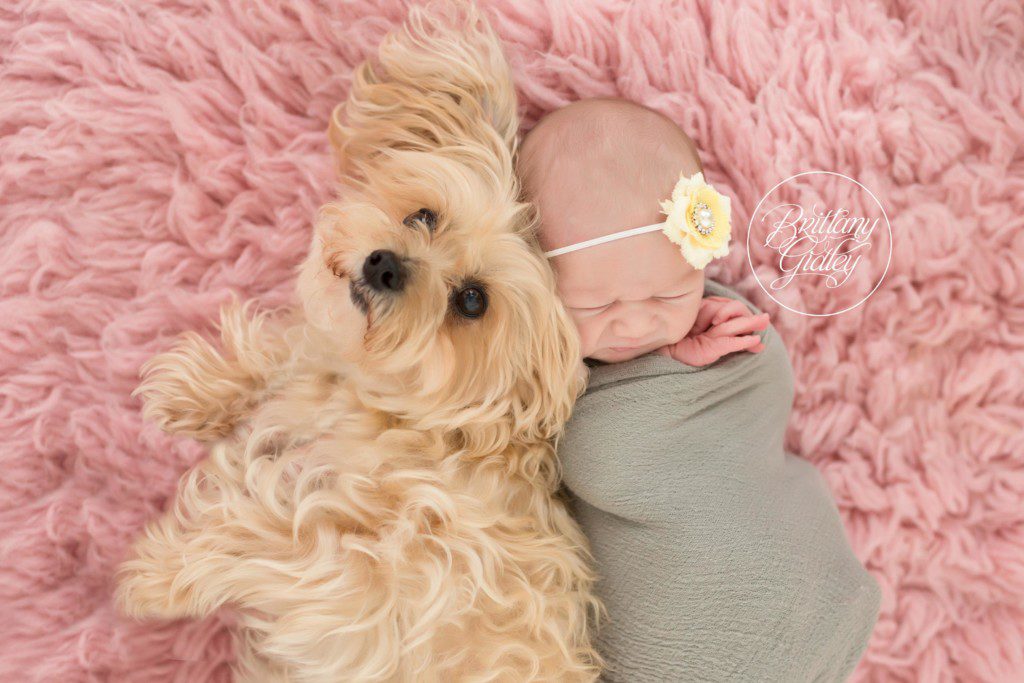 Newborn Baby Girl | Newborn Baby | Baby Girl | Start With The Best | Cleveland Ohio Newborn Photographer