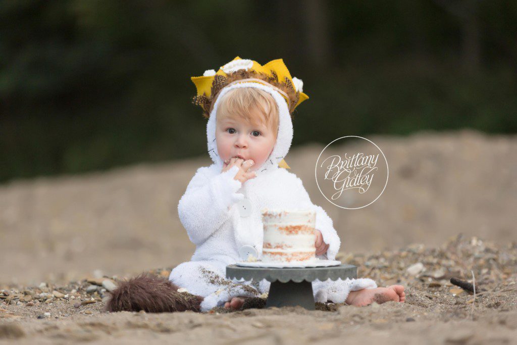 Wild Things Cake Smash | First Birthday | Photo Shoot | Party | Dream Session | Brittany Gidley Photography LLC www.brittanygidley.com
