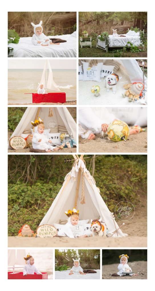 Where the Wild Things Are | First Birthday | Photo Shoot | Party | Dream Session | Brittany Gidley Photography LLC www.brittanygidley.com