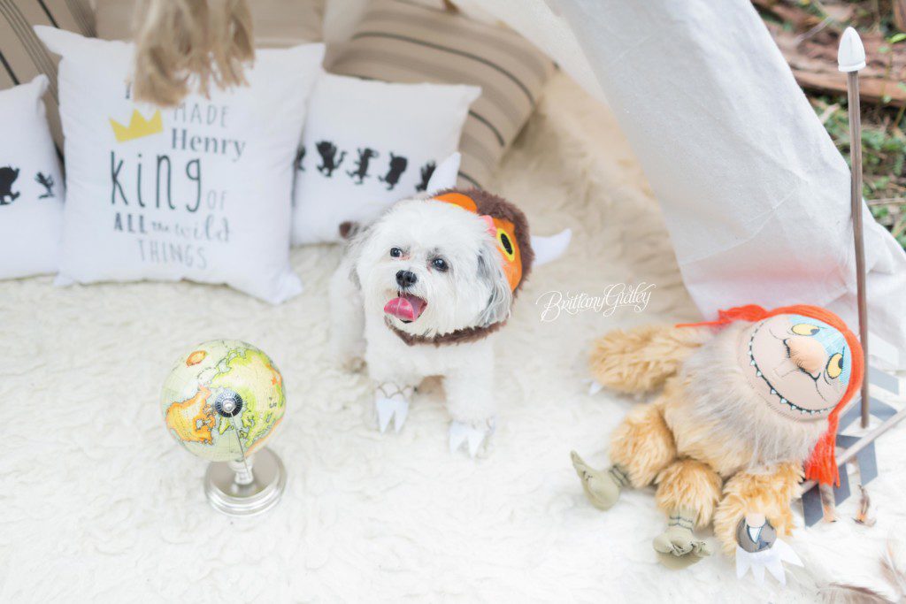 Where the Wild Things Are | First Birthday | Photo Shoot | Party | Dream Session | Brittany Gidley Photography LLC www.brittanygidley.com