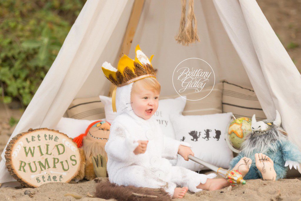 Let The Wild Rumpus Start | First Birthday | Photo Shoot | Party | Dream Session | Brittany Gidley Photography LLC www.brittanygidley.com