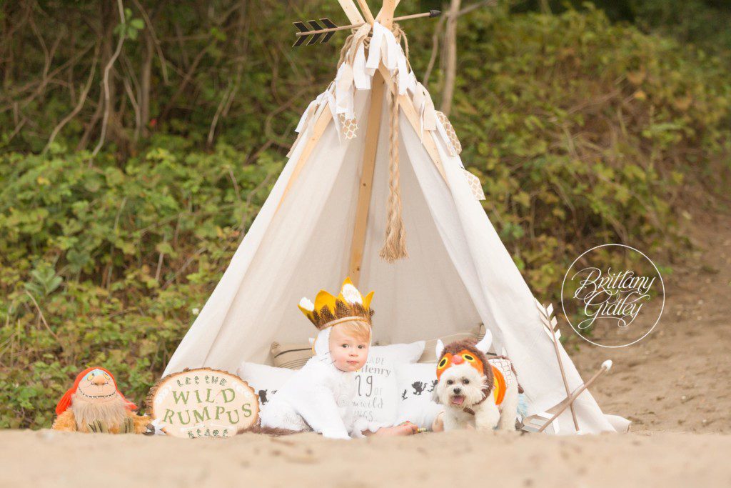 Let The Wild Rumpus Start | First Birthday | Photo Shoot | Party | Dream Session | Brittany Gidley Photography LLC www.brittanygidley.com