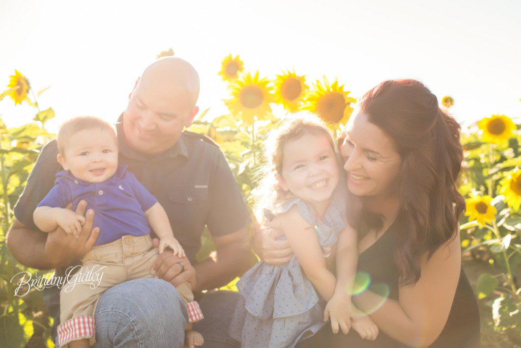 Prayers From Maria Sunflower Field | 6 Month Baby Photographer | Avon Ohio