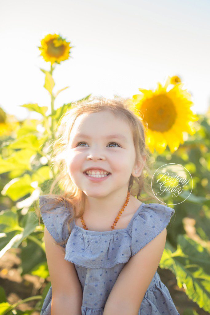 Prayers From Maria Sunflower Field | Toddler Photographer | Avon Ohio