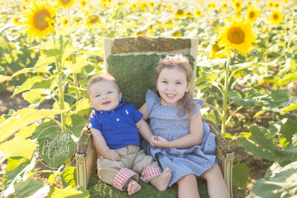 Prayers From Maria Sunflower Field | 6 Month Baby Photographer | Avon Ohio