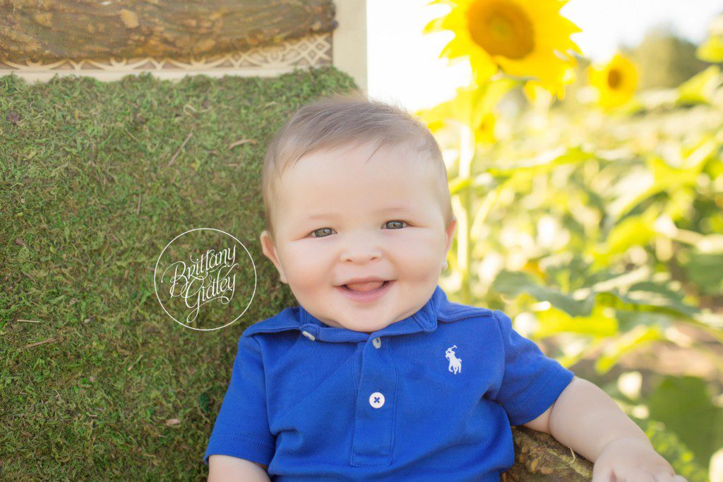 Prayers From Maria Sunflower Field | 6 Month Baby Photographer | Avon Ohio