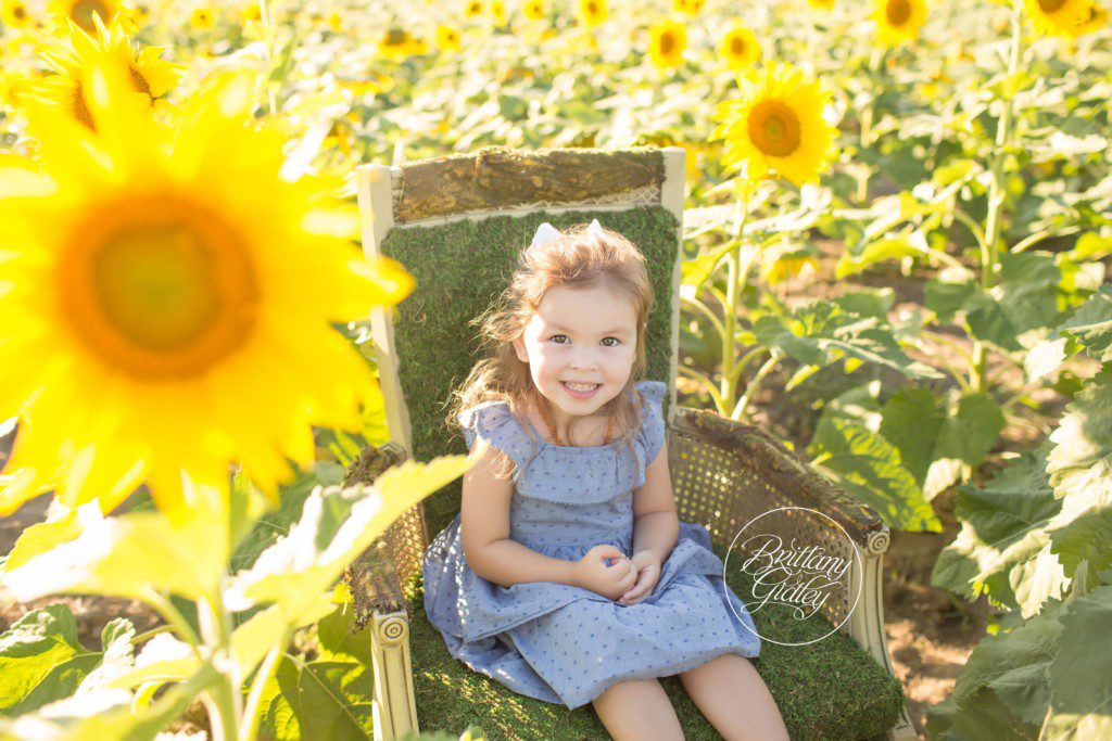 Prayers From Maria Sunflower Field | Toddler Photographer | Avon Ohio