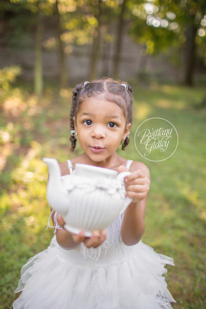 Adventure Is Out There | Dream Session | Tea Party | Butterflies | Wanderlust | Child Photographer | Cleveland Ohio