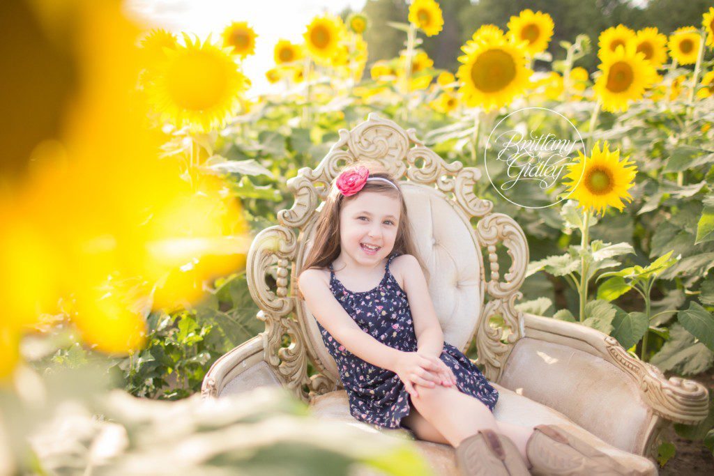 Prayers From Maria Sunflower Field | Avon Ohio | Sunflowers | Flower Field