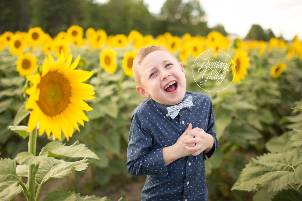 Prayers From Maria Sunflower Field | Avon Ohio | Sunflowers | Flower Field