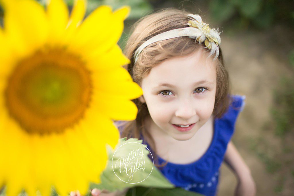 Prayers From Maria | Avon Ohio | Sunflowers | Flower Field