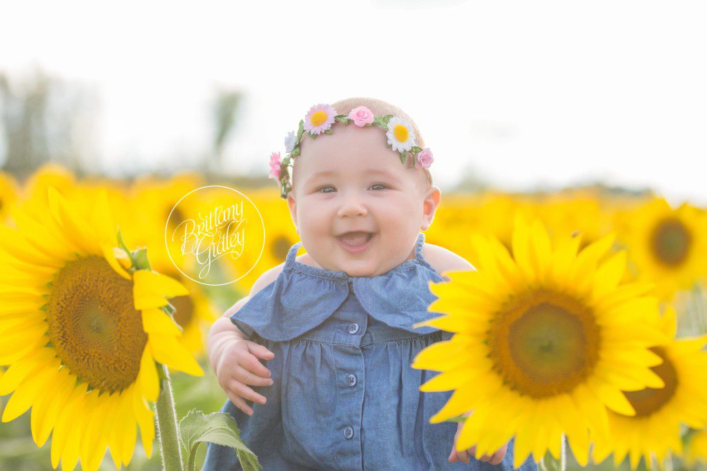 Prayers From Maria | Avon Ohio | Sunflowers | Flower Field