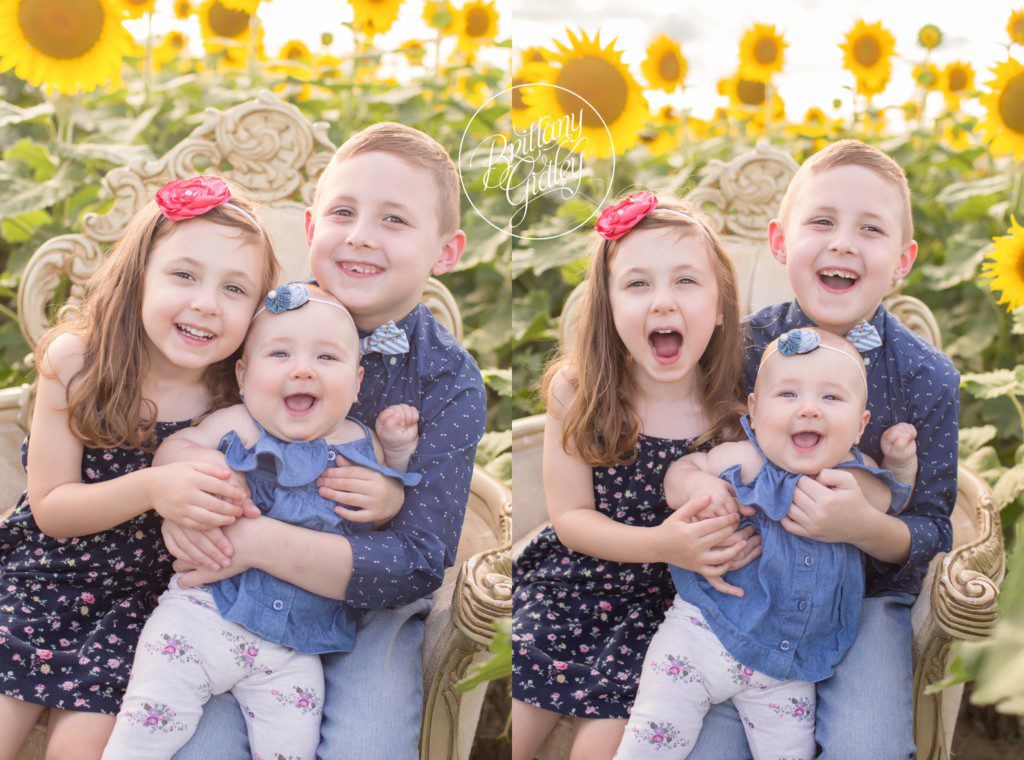 Prayers From Maria | Avon Ohio | Sunflowers | Flower Field